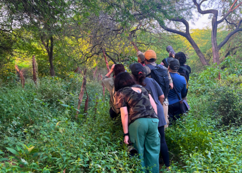 Sanjay Van | Delhi Earth Walk